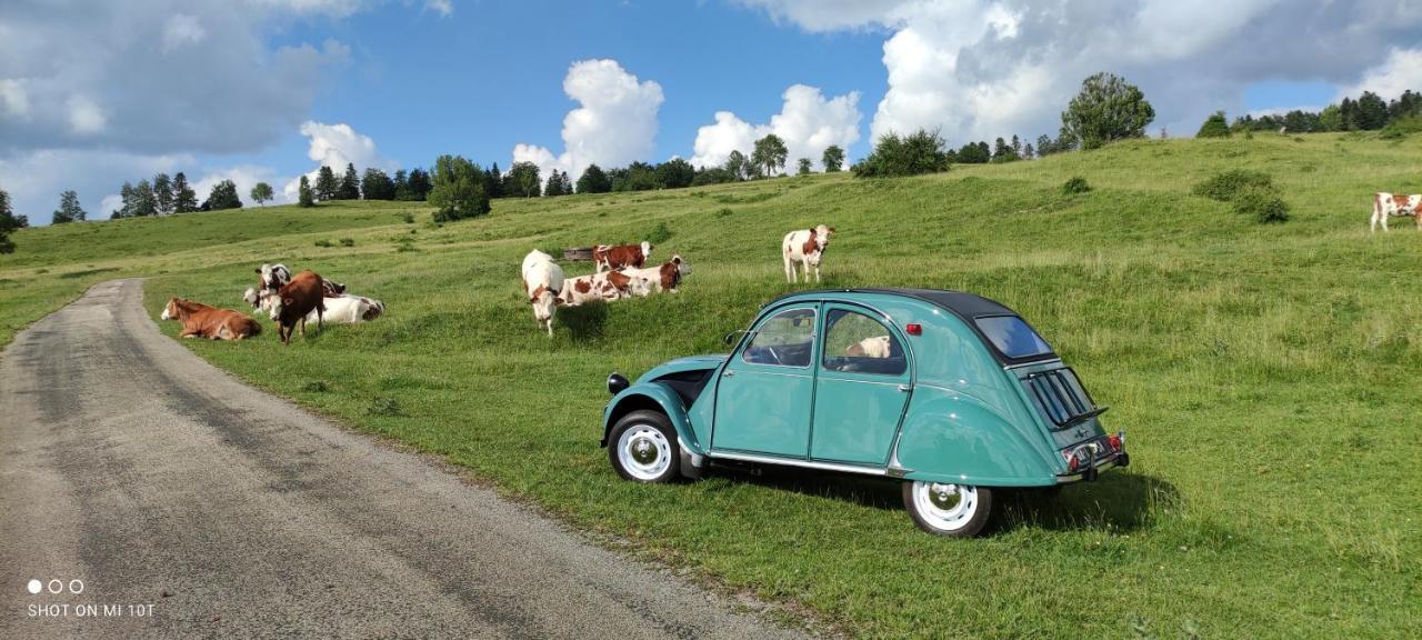 Le Jura En Toutes Saisons Piscine, Spa, Location Vtt, Balades 2Cv, Climatisation Bonlieu Dış mekan fotoğraf